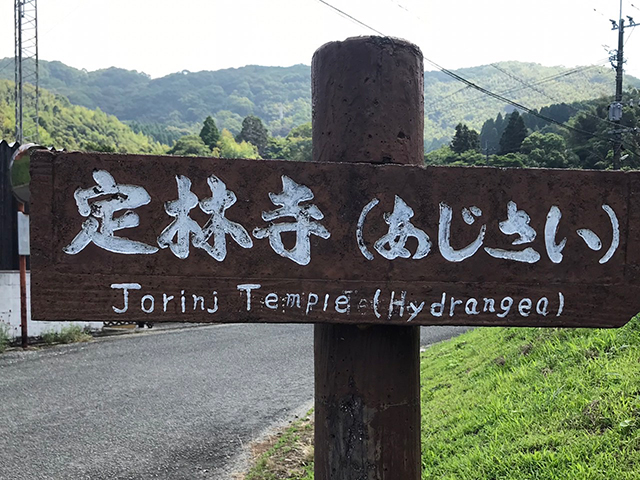 定林寺（あじさい寺）