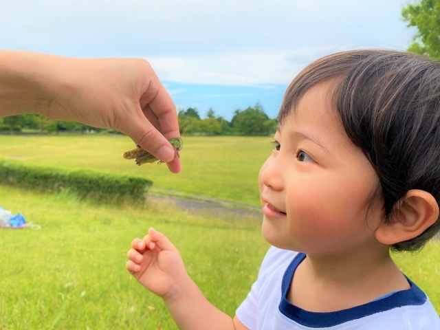 虫を見る子ども