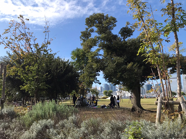 晴海ふ頭公園