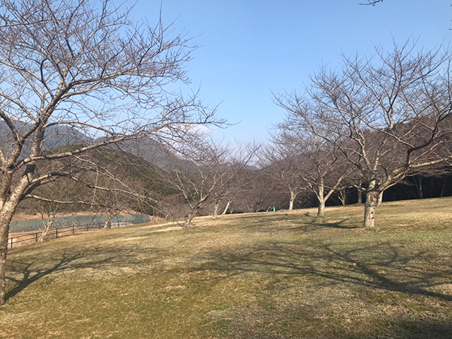 ふれあいの森総合公園