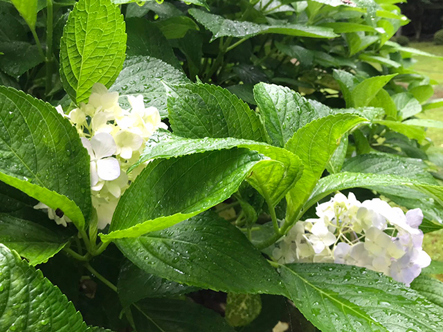 清水山