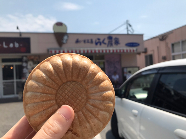 アイス最中