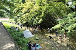 猪野川