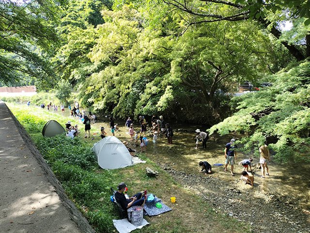猪野川