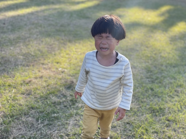 かんしゃくを起こす