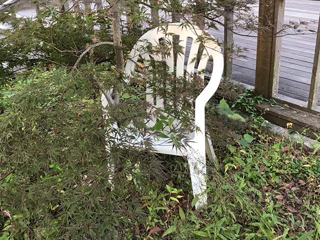 The Problem of History 歴史について考える