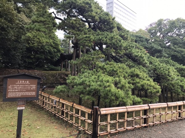 浜離宮恩賜庭園